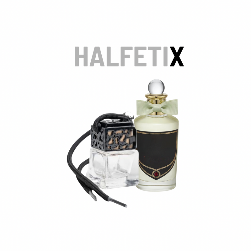 HalfetiX Car Hanging Diffuser